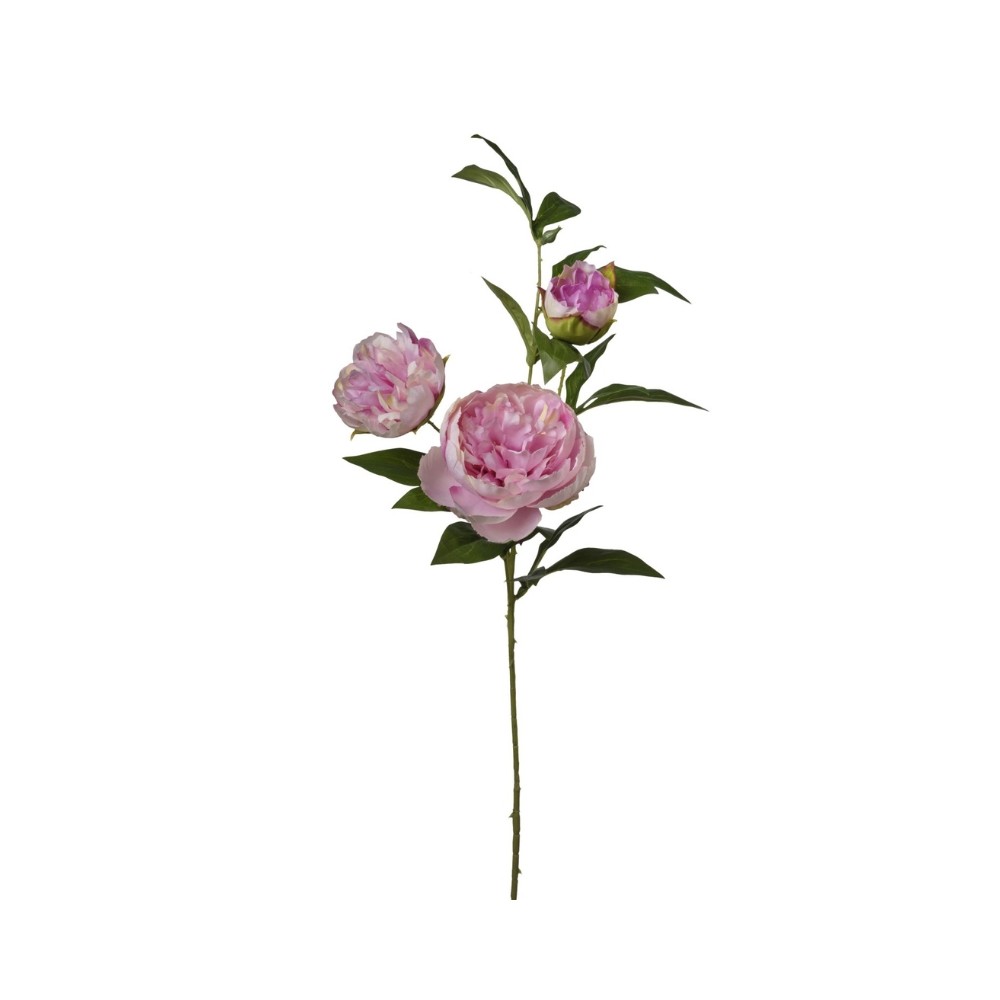 Peonia ramo h80 cm Beauty